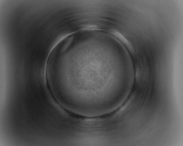X0000092231378200709211018