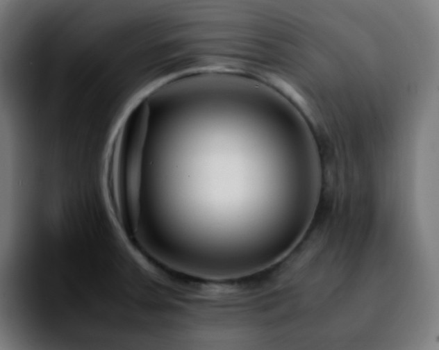 X0000092231379200709211018