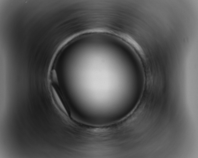 X0000092231380200709211018