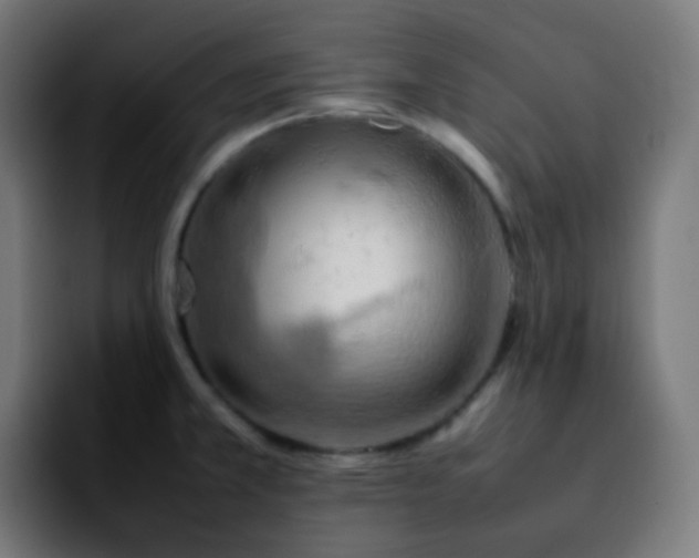 X0000092231381200709211018