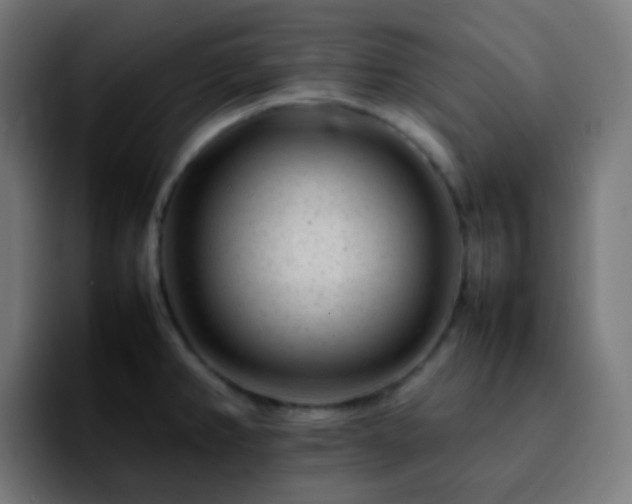 X0000092231382200709211018