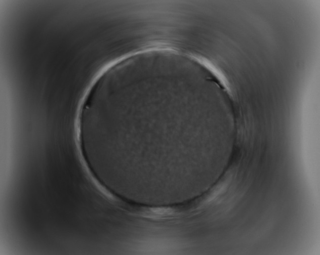 X0000092231383200709211018