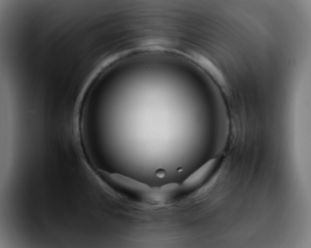 X0000092231384200709211018