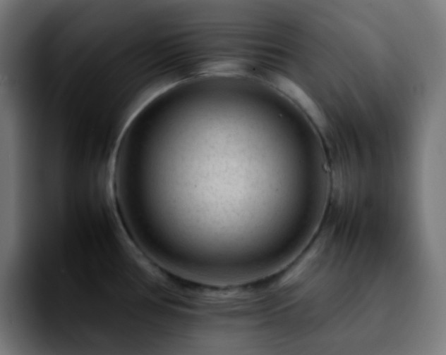X0000092231386200709211018