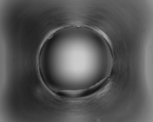 X0000092231389200709211018