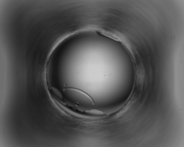 X0000092231390200709211018