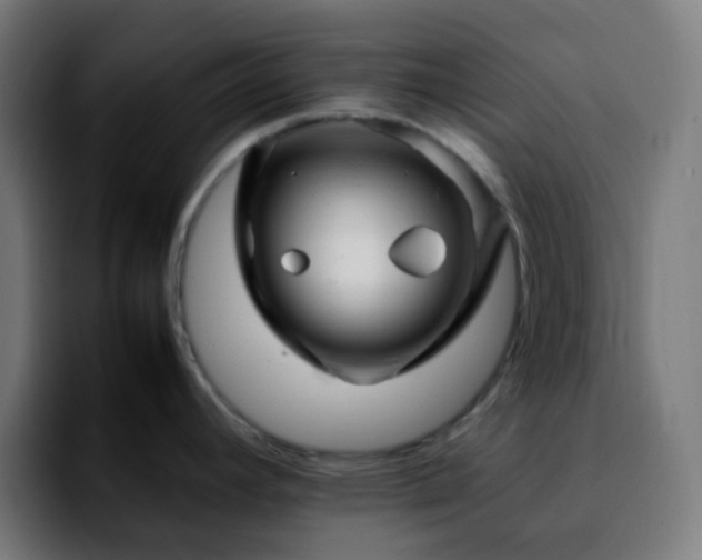 X0000092231392200709211018