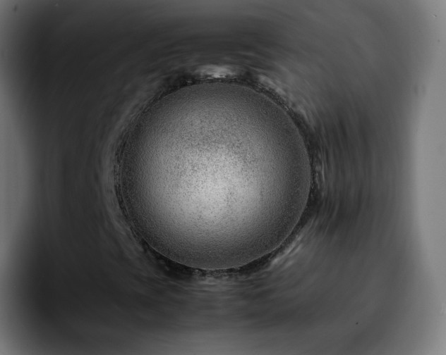 X0000092231393200709211017