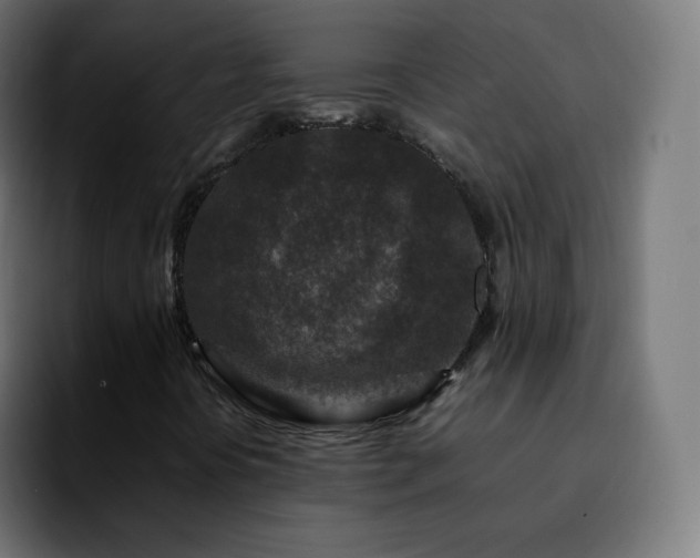 X0000092231394200709211017