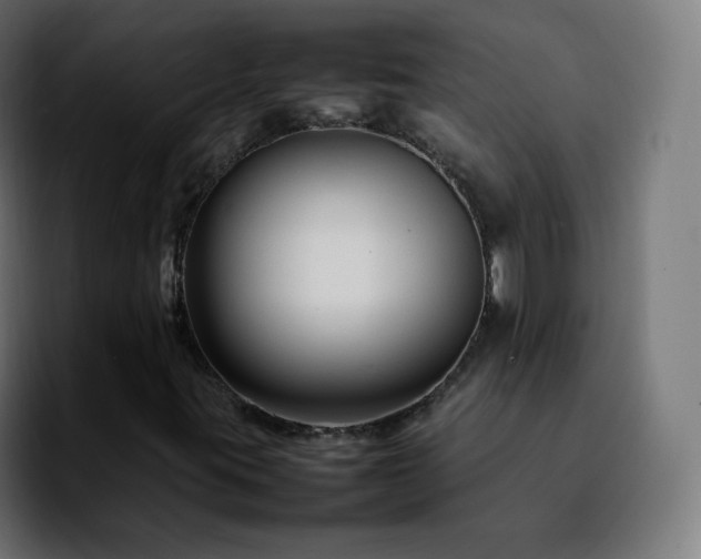 X0000092231395200709211017
