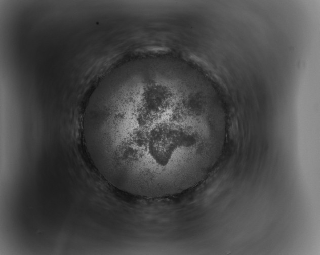X0000092231397200709211017