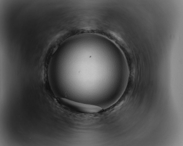 X0000092231398200709211017
