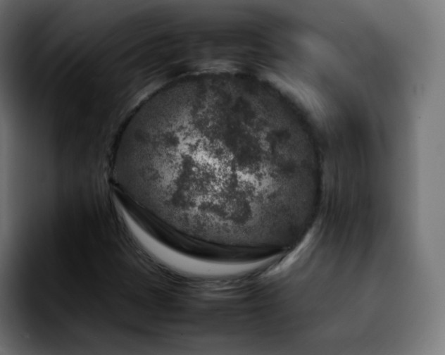 X0000092231401200709211017