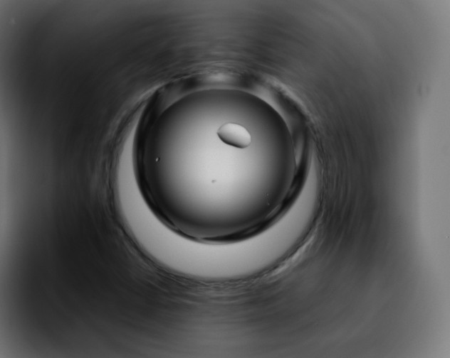 X0000092231402200709211017