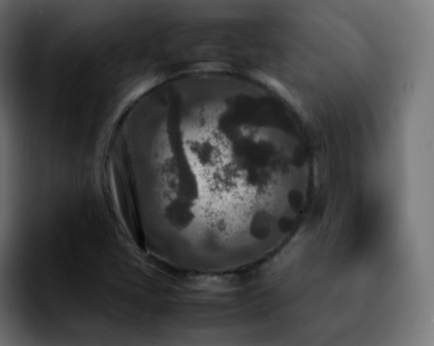 X0000092231405200709211017
