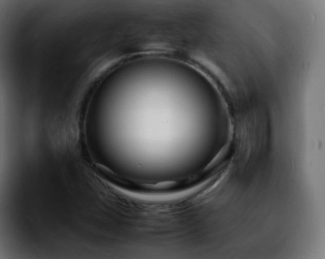 X0000092231407200709211017