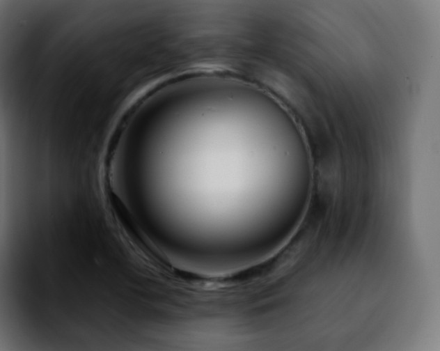 X0000092231412200709211017