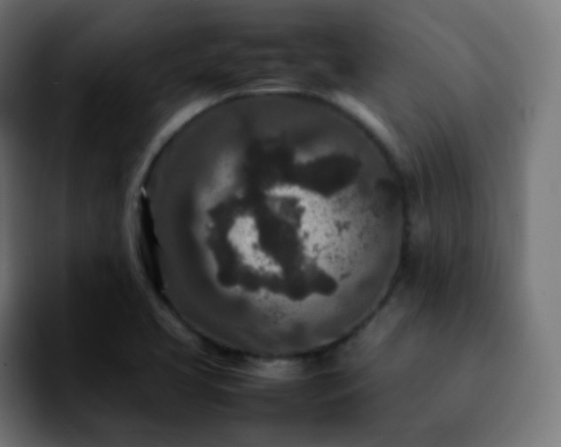 X0000092231413200709211017