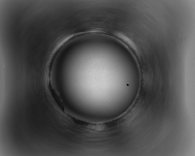 X0000092231415200709211017