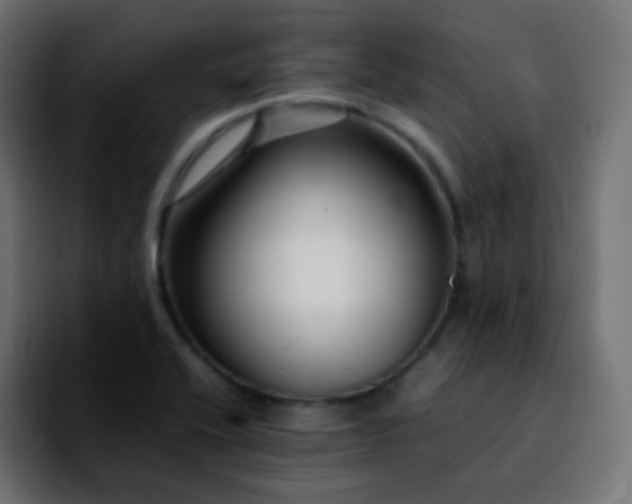 X0000092231416200709211017
