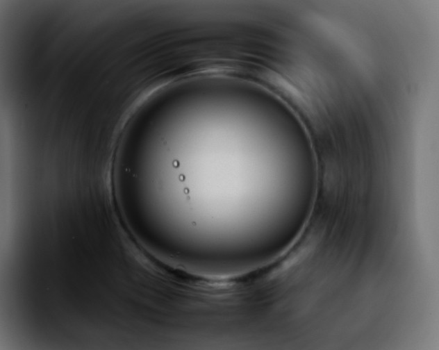 X0000092231417200709211017