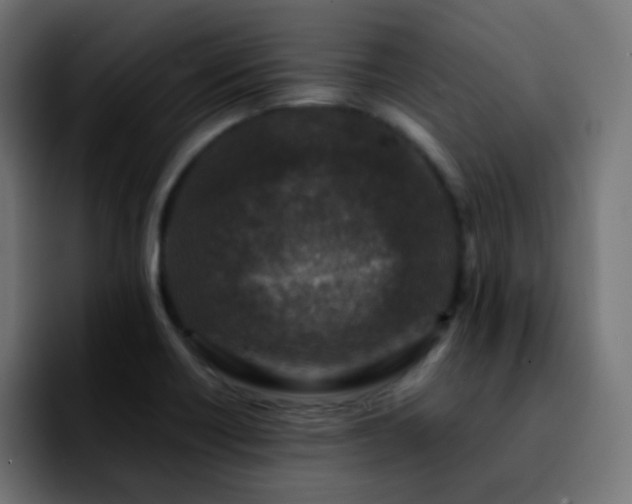 X0000092231418200709211017