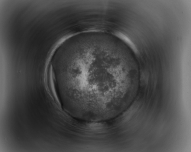 X0000092231419200709211017