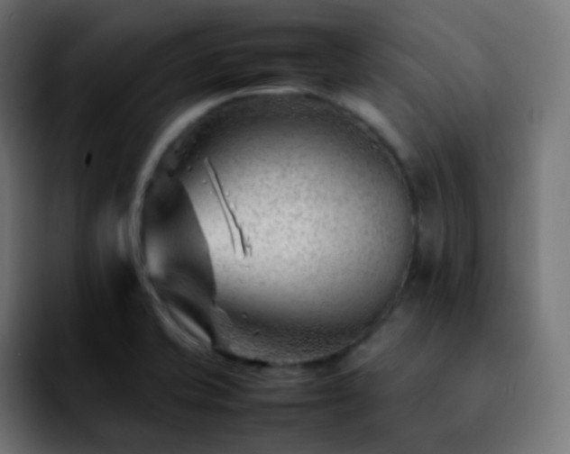X0000092231421200709211017