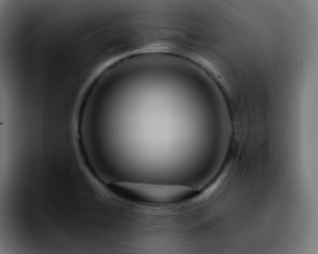 X0000092231422200709211017