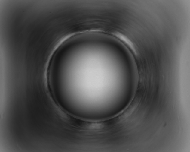 X0000092231423200709211017