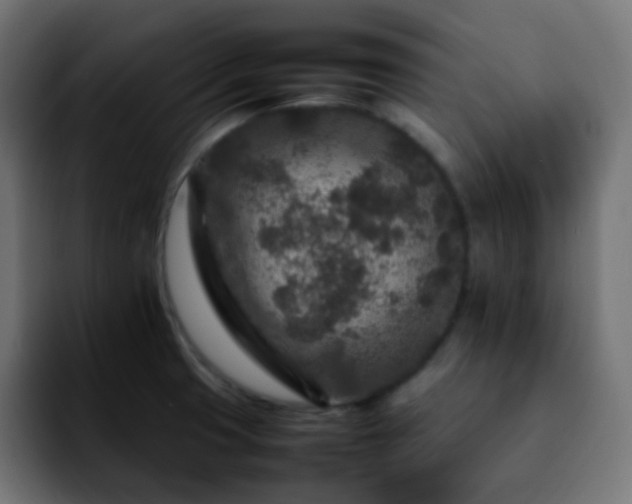 X0000092231425200709211017