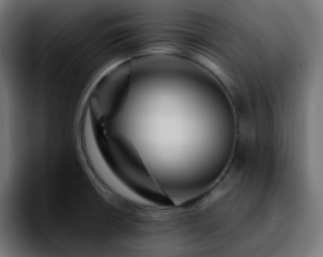 X0000092231426200709211017