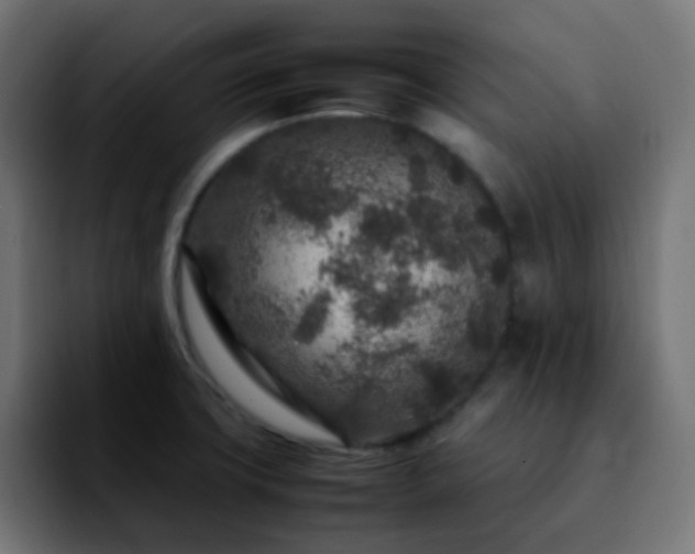 X0000092231427200709211017