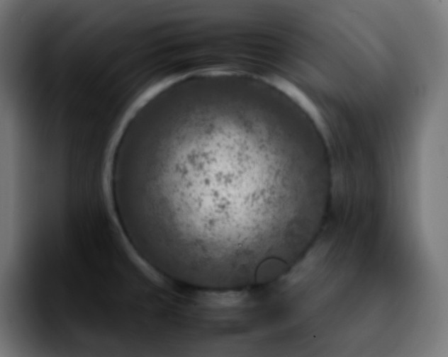 X0000092231429200709211017