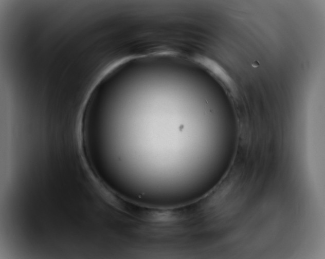 X0000092231431200709211017