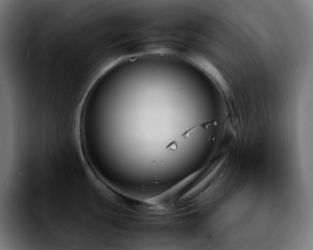 X0000092231439200709211018