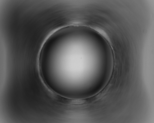 X0000092231440200709211018
