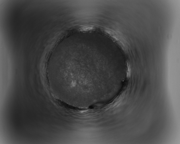 X0000092231441200709211017