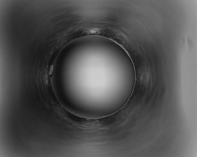 X0000092231442200709211017