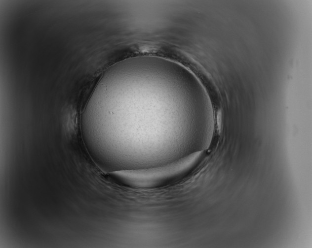 X0000092231443200709211017
