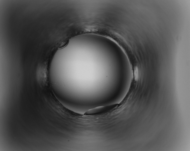 X0000092231444200709211017