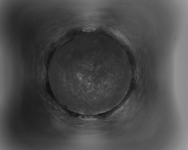 X0000092231445200709211017