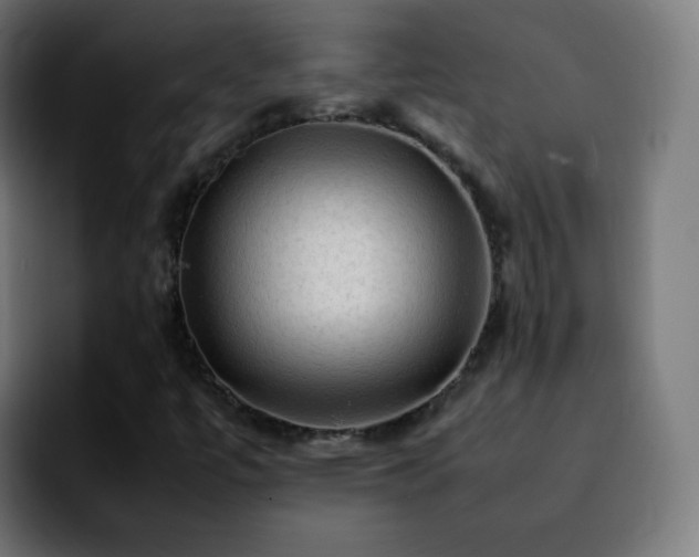X0000092231447200709211017