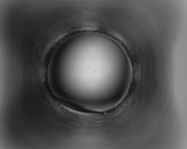 X0000092231448200709211017