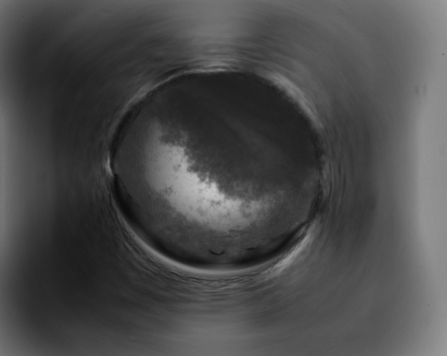 X0000092231449200709211017