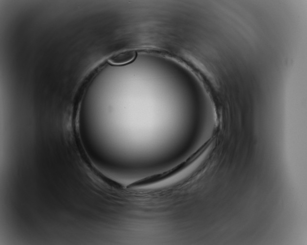 X0000092231452200709211017