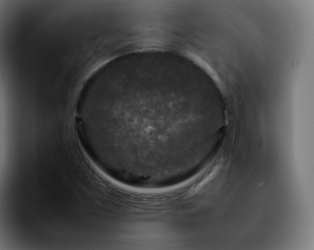 X0000092231453200709211017