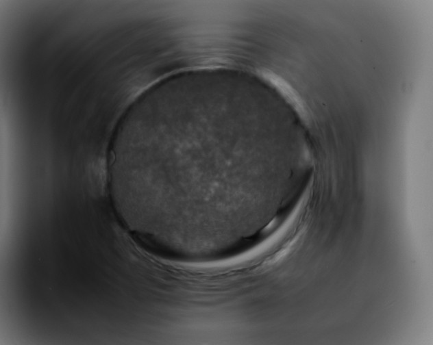 X0000092231457200709211017
