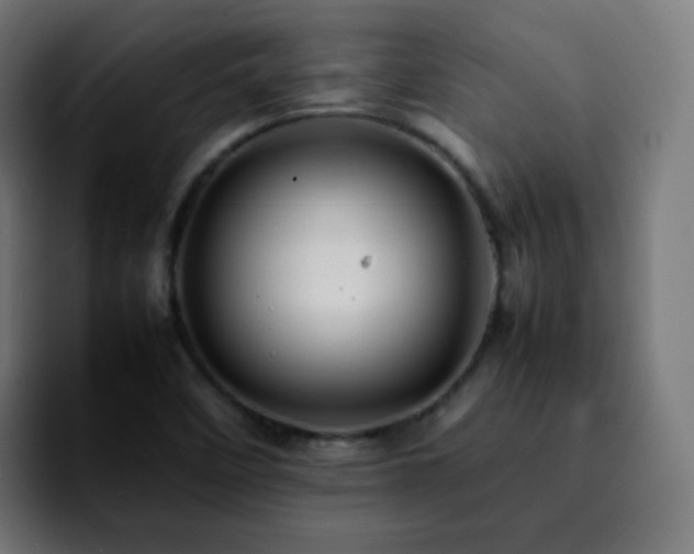 X0000092231458200709211017