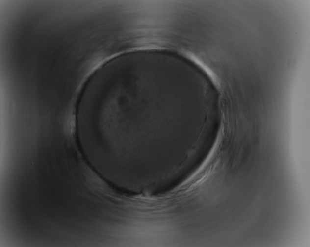 X0000092231459200709211017